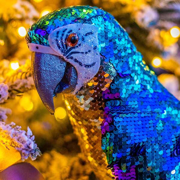 Close up image of a parrot decoration placed on a Christmas tree.
